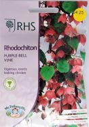Rhodochiton Purple Bell Vine RHS Seeds